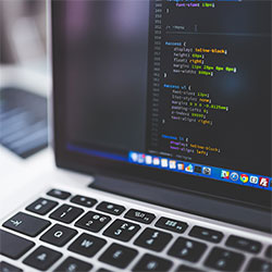 茶杯门：一扇让时光慢下来的小门