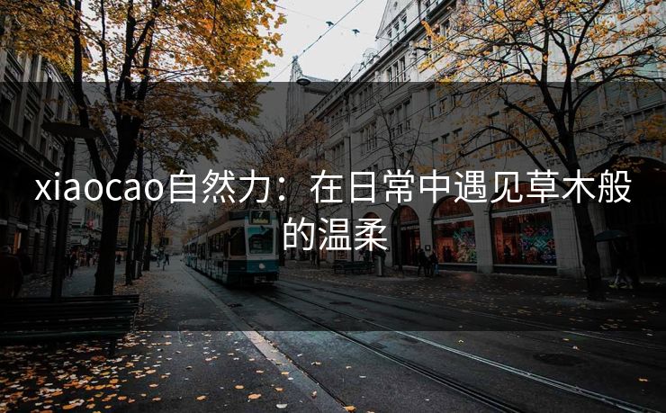 xiaocao自然力:在日常中遇见草木般的温柔