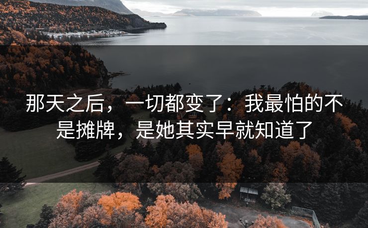 那天之后,一切都变了:我最怕的不是摊牌,是她其实早就知道了